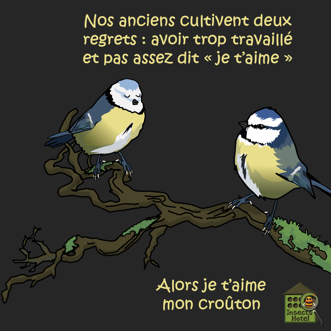 product_image_491406