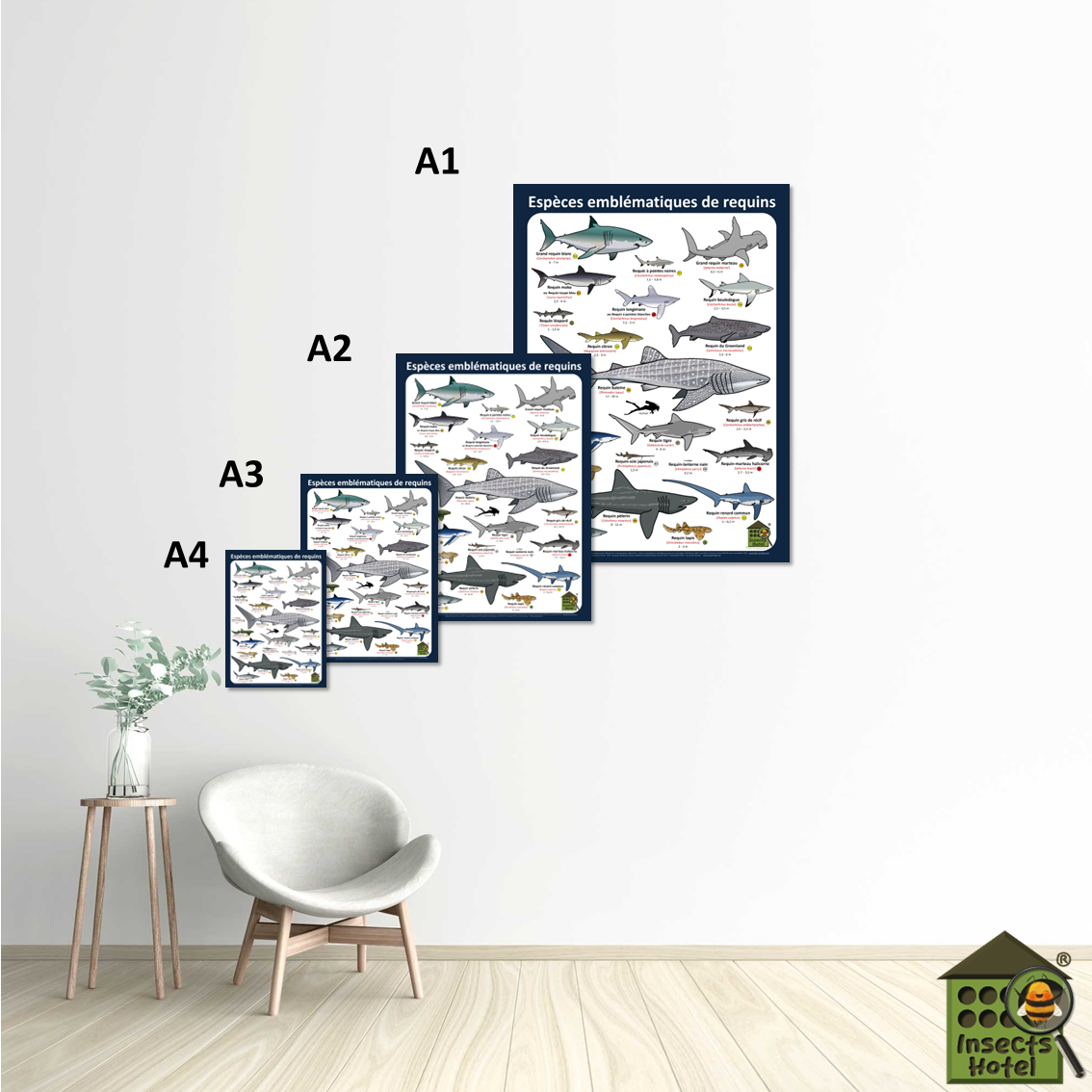 Image back Poster - Espèces emblématiques de requins