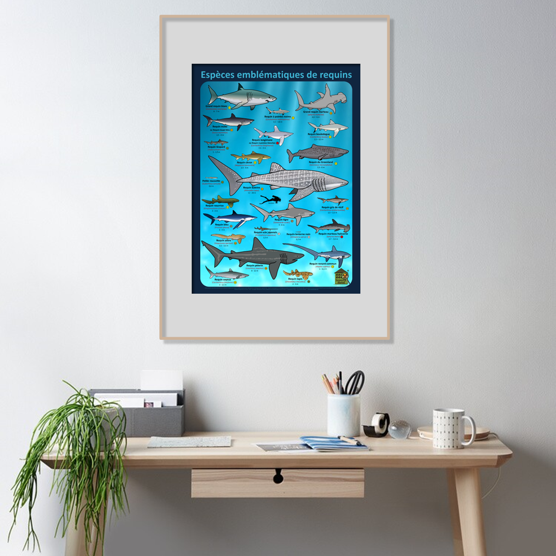 product_image_480805