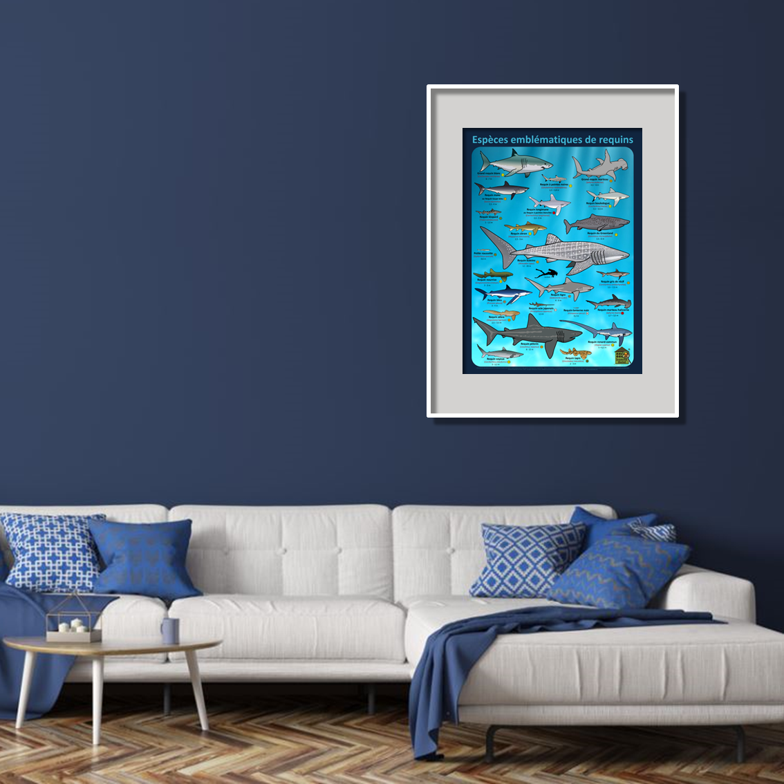 product_image_844887