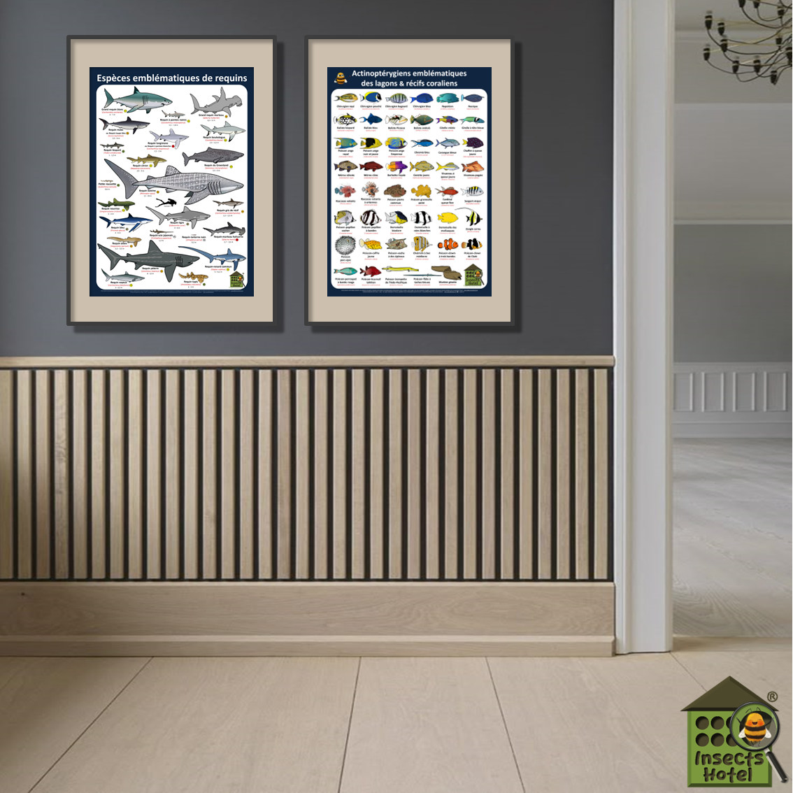 product_image_894676