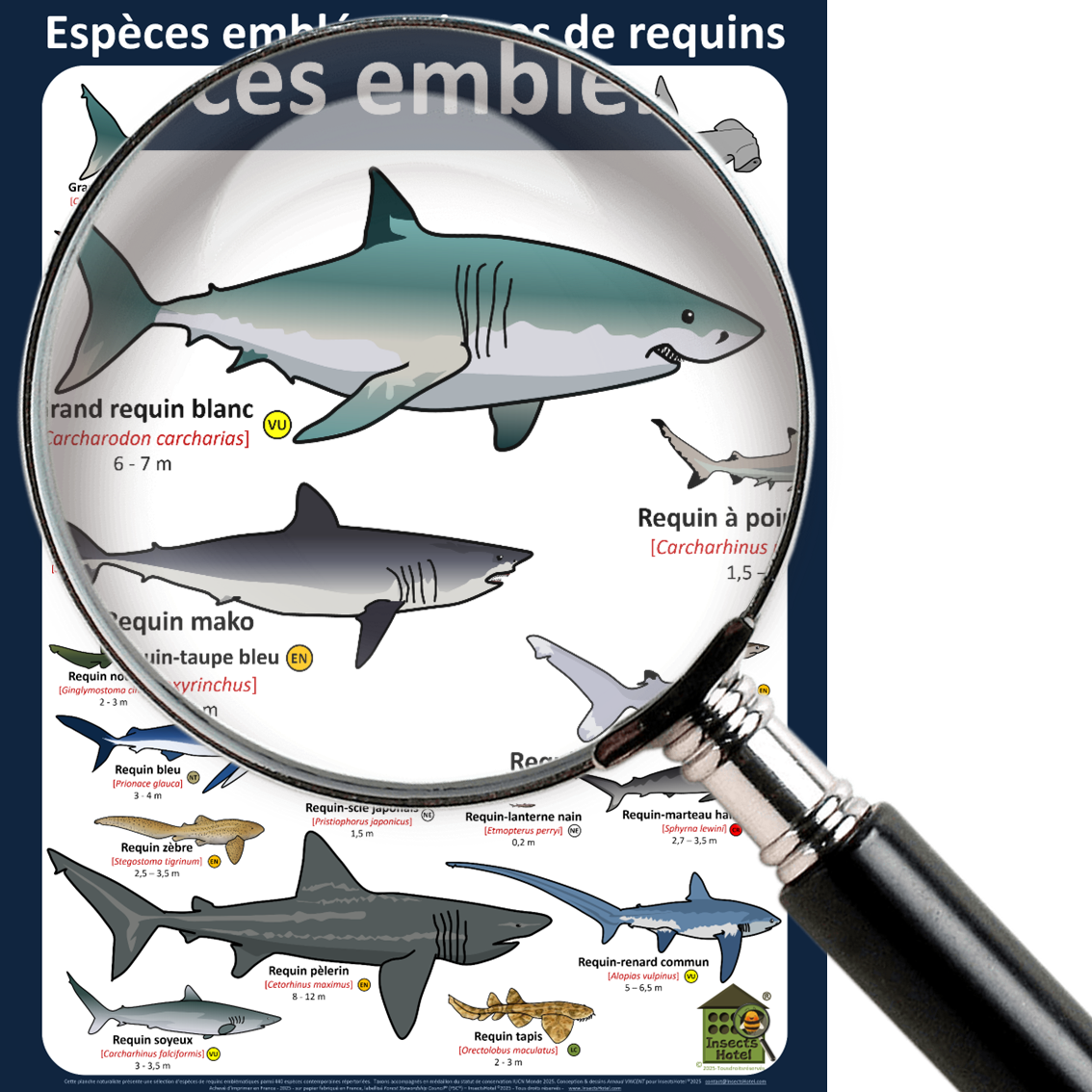 product_image_206235