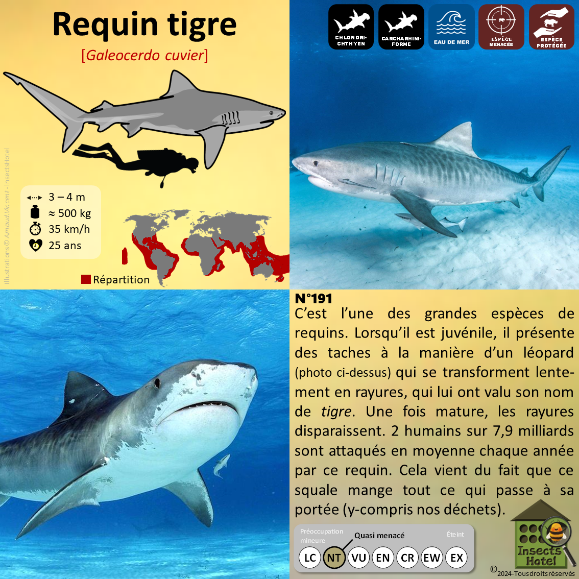 product_image_797060