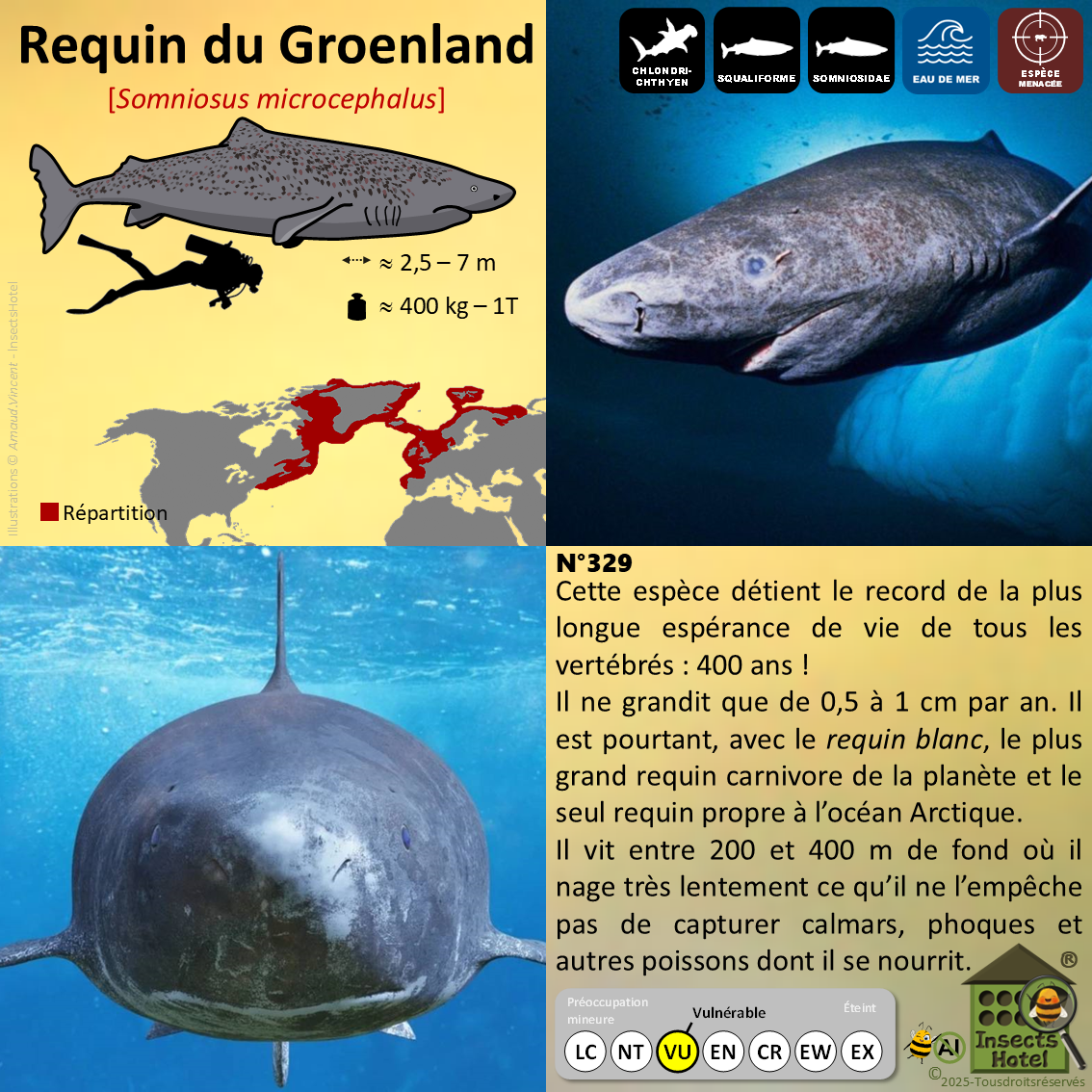 product_image_537608