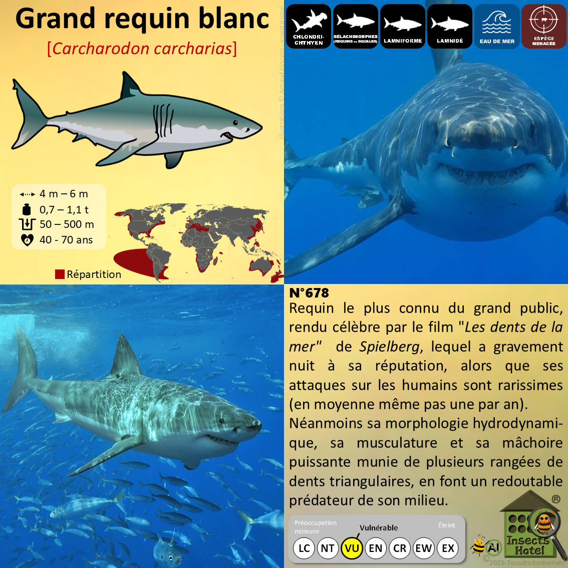 product_image_770260