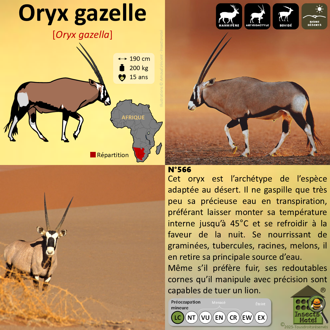 product_image_801260