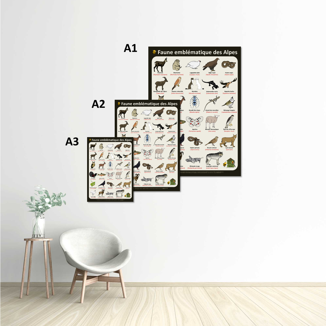 Image back Poster - Faune emblématique des Alpes