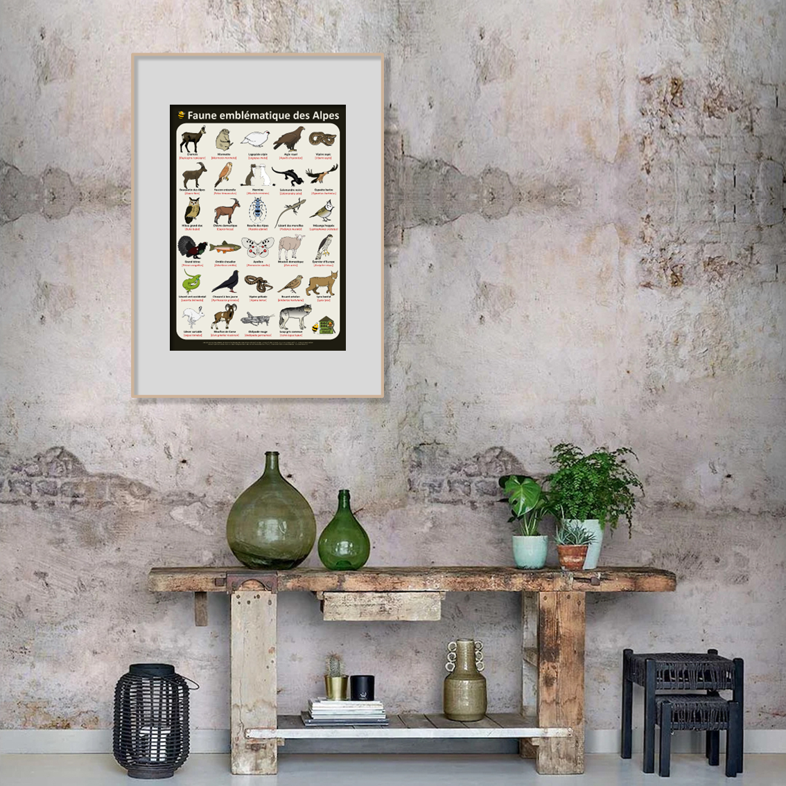 product_image_228700