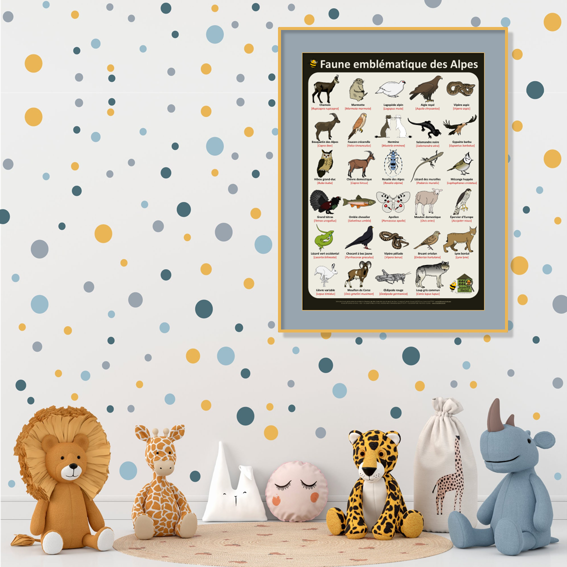 product_image_571663