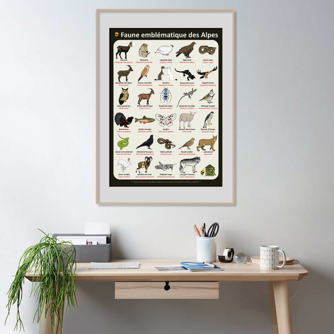 product_image_356688