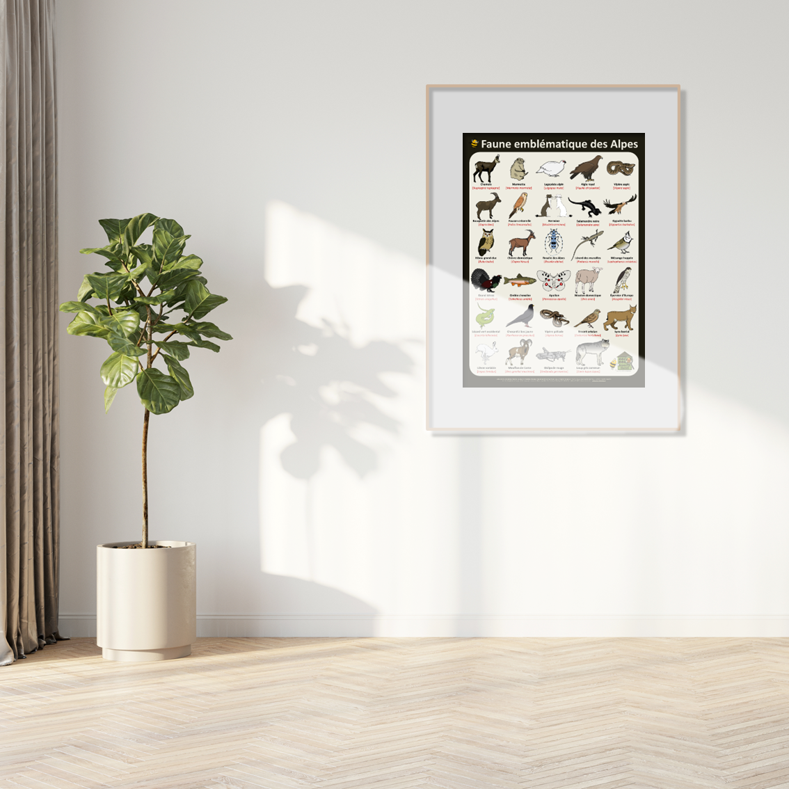 product_image_958889