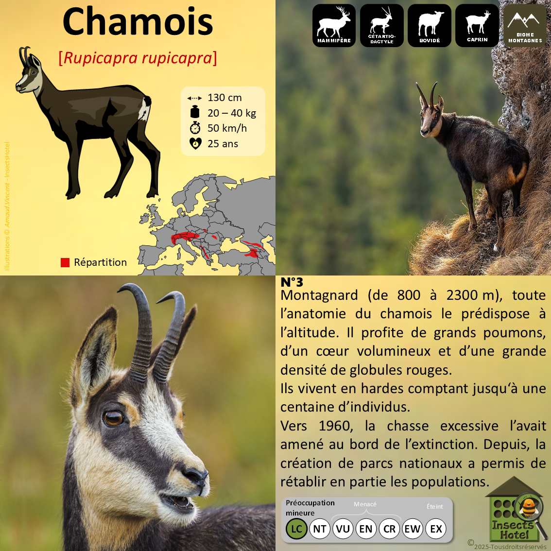 product_image_967360