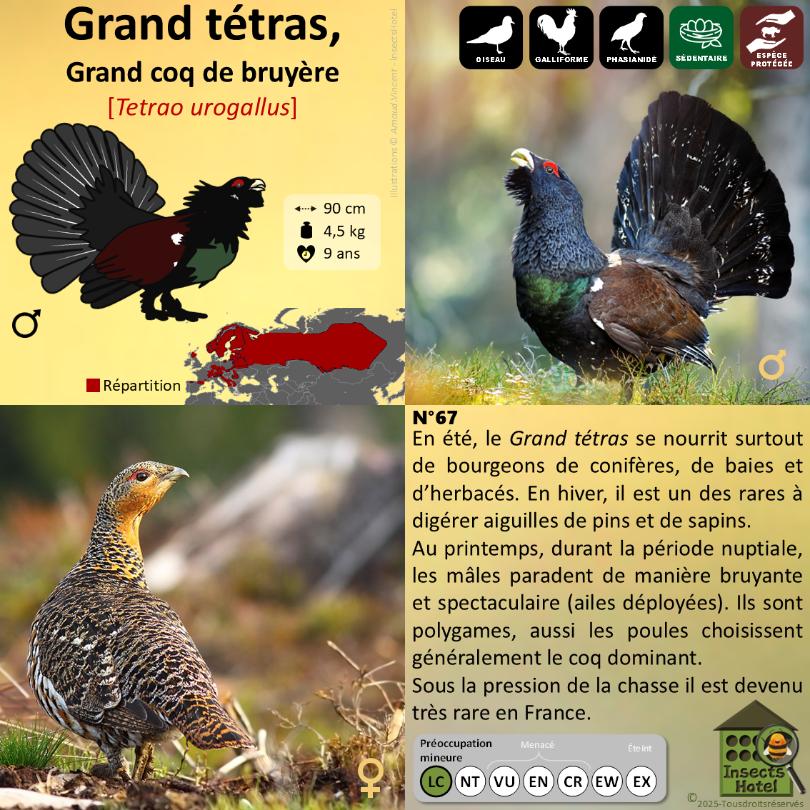 product_image_775540