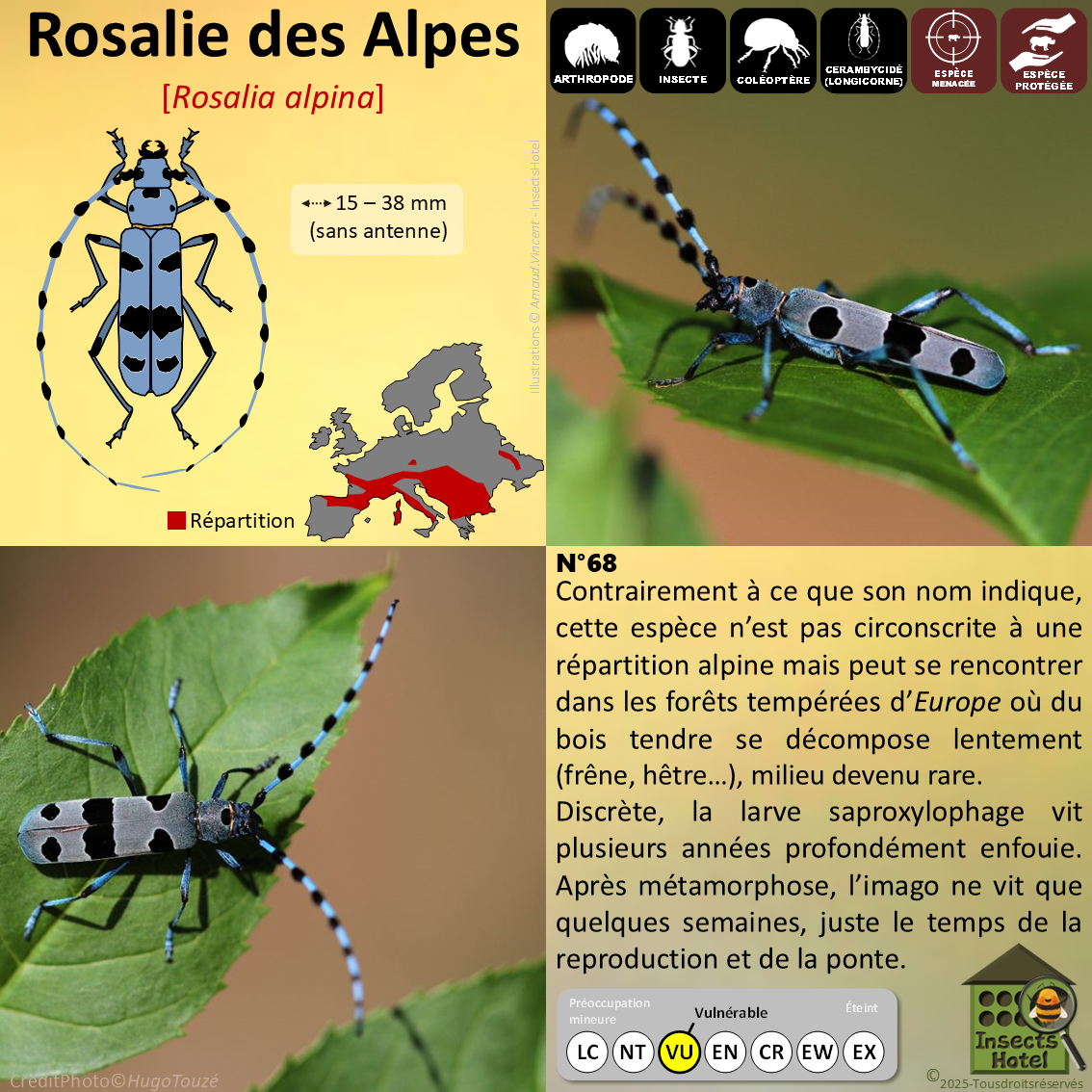 product_image_229533