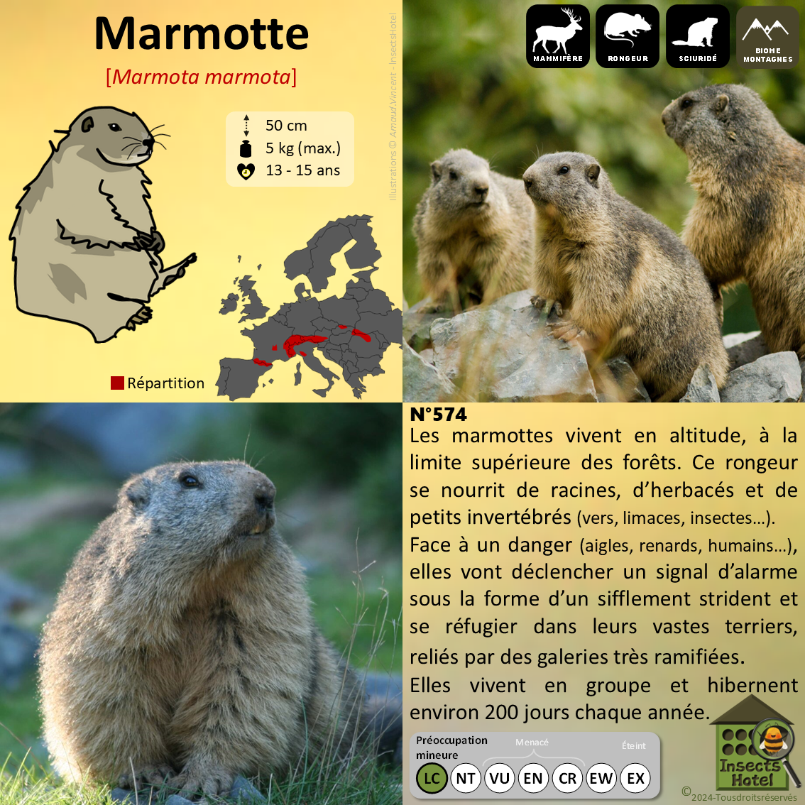 product_image_936166