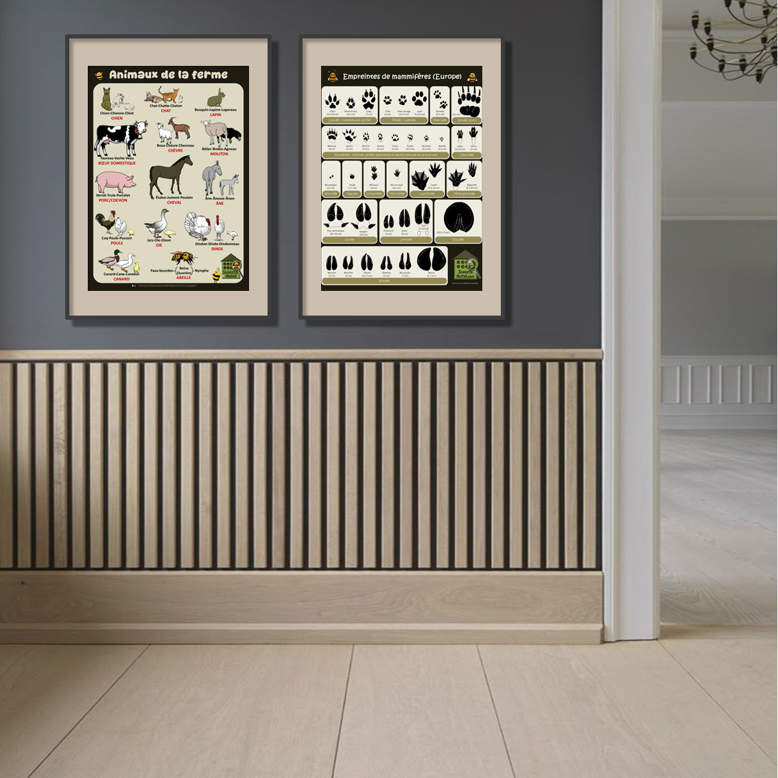 product_image_935231