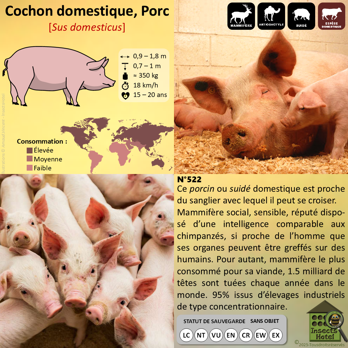 product_image_500138