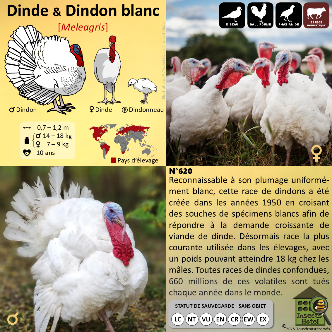 product_image_373500