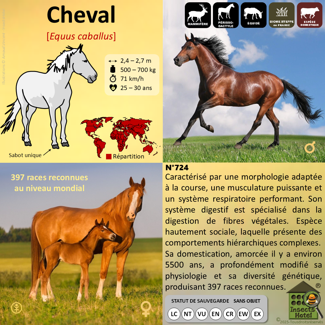 product_image_730112