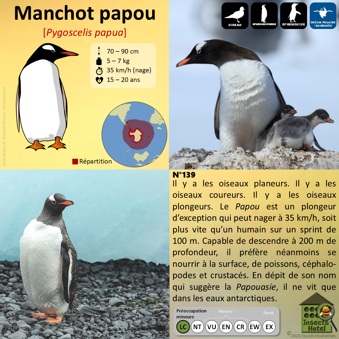 product_image_422681