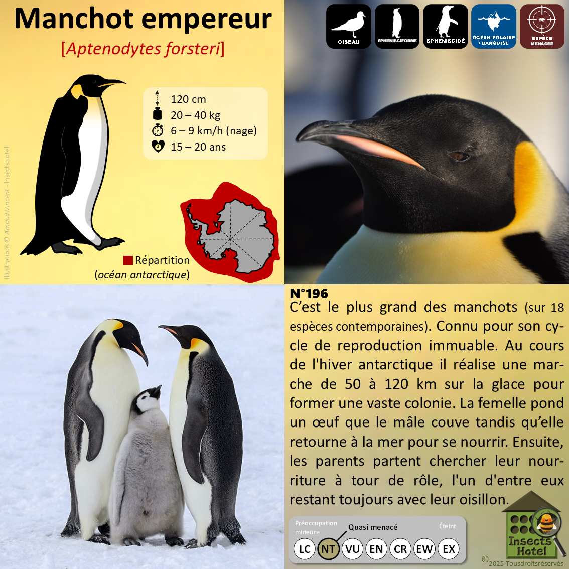 product_image_810827