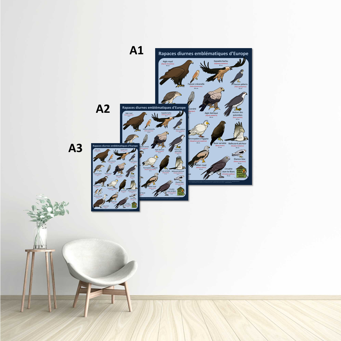 Image back Poster - Rapaces diurnes emblématiques d'Europe