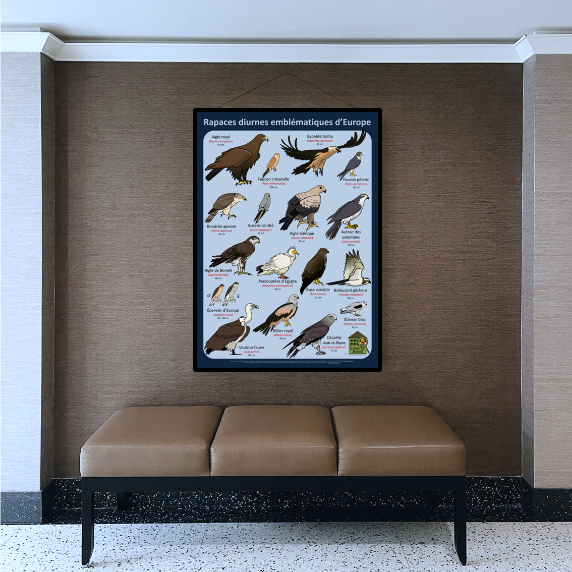 product_image_995804