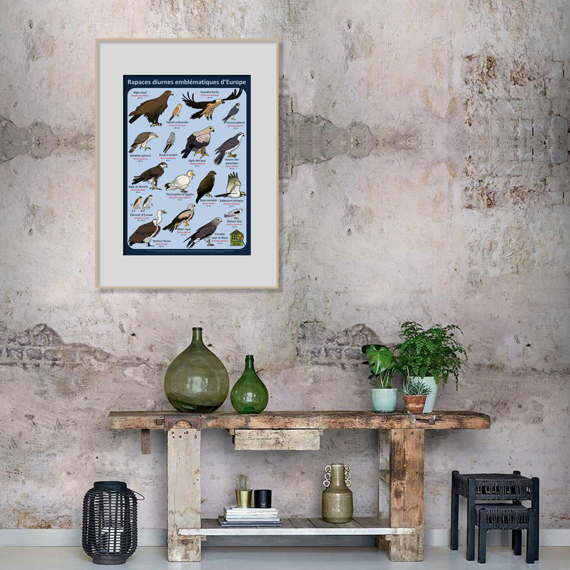 product_image_41123