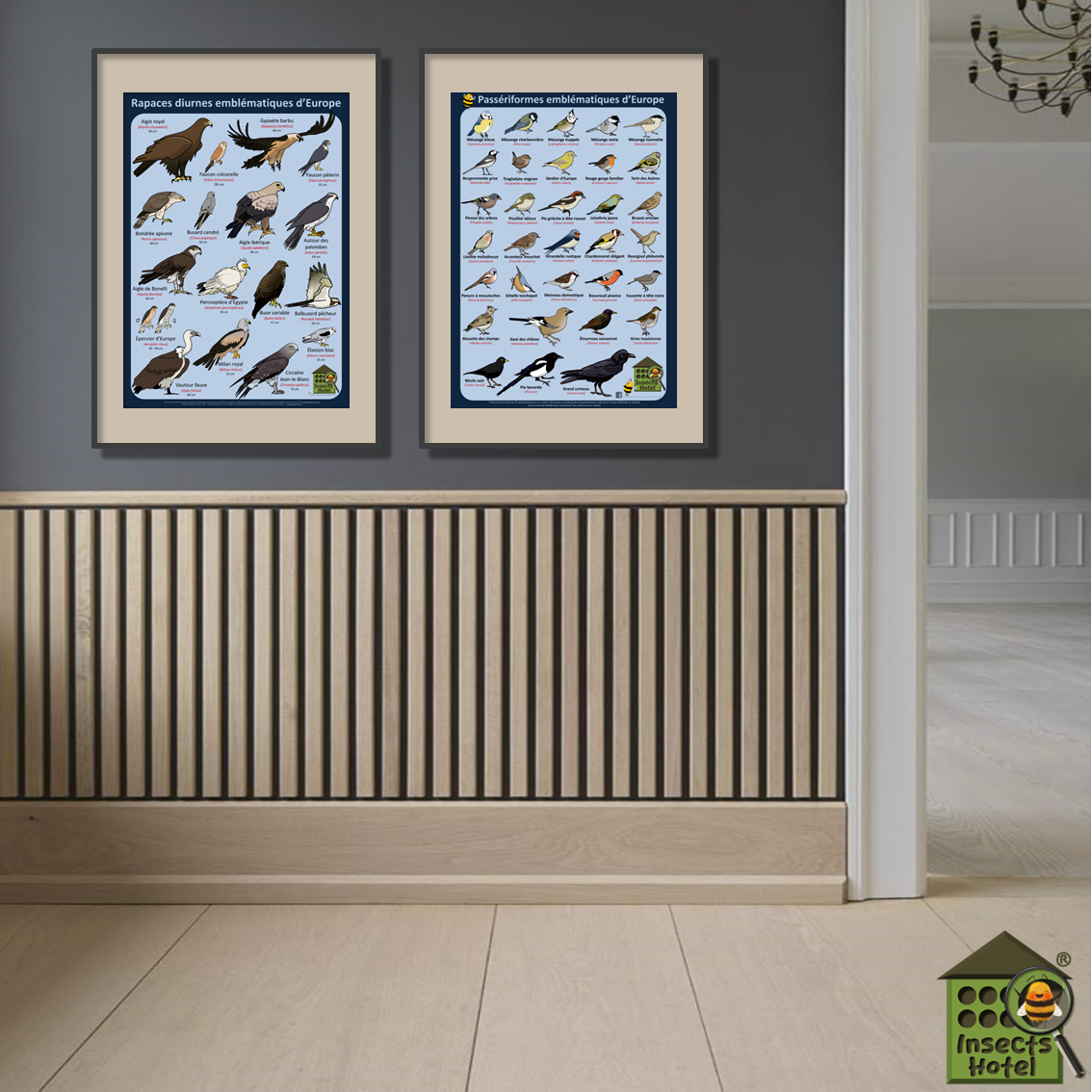 product_image_895771