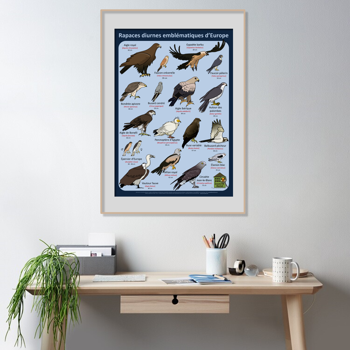 product_image_325155