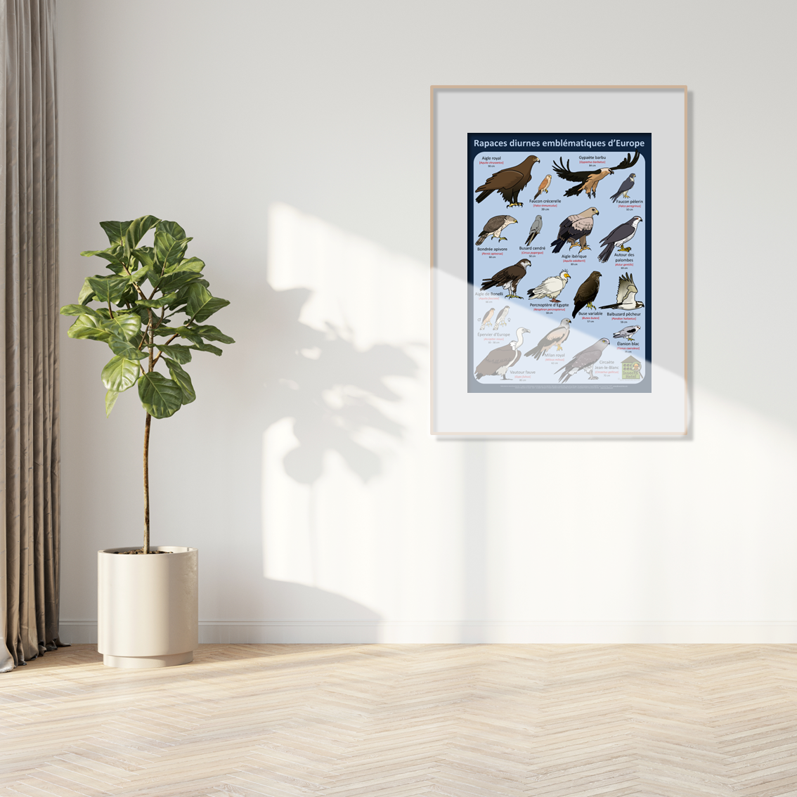 product_image_451138