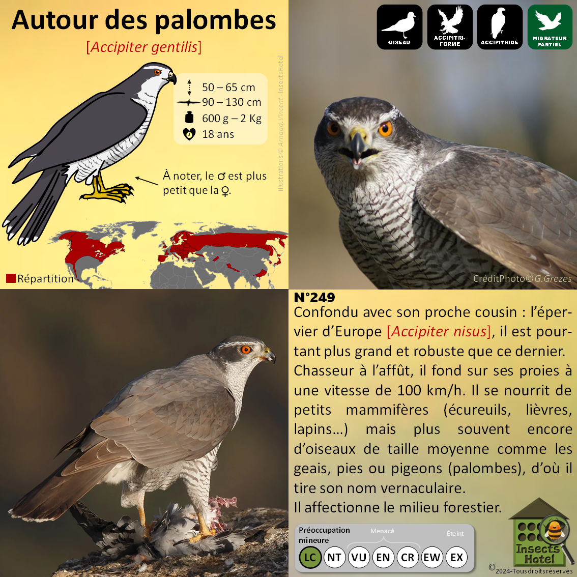 product_image_784945