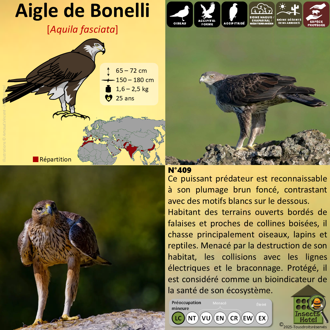 product_image_977113