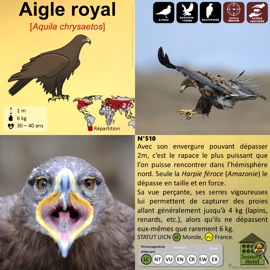 product_image_826576