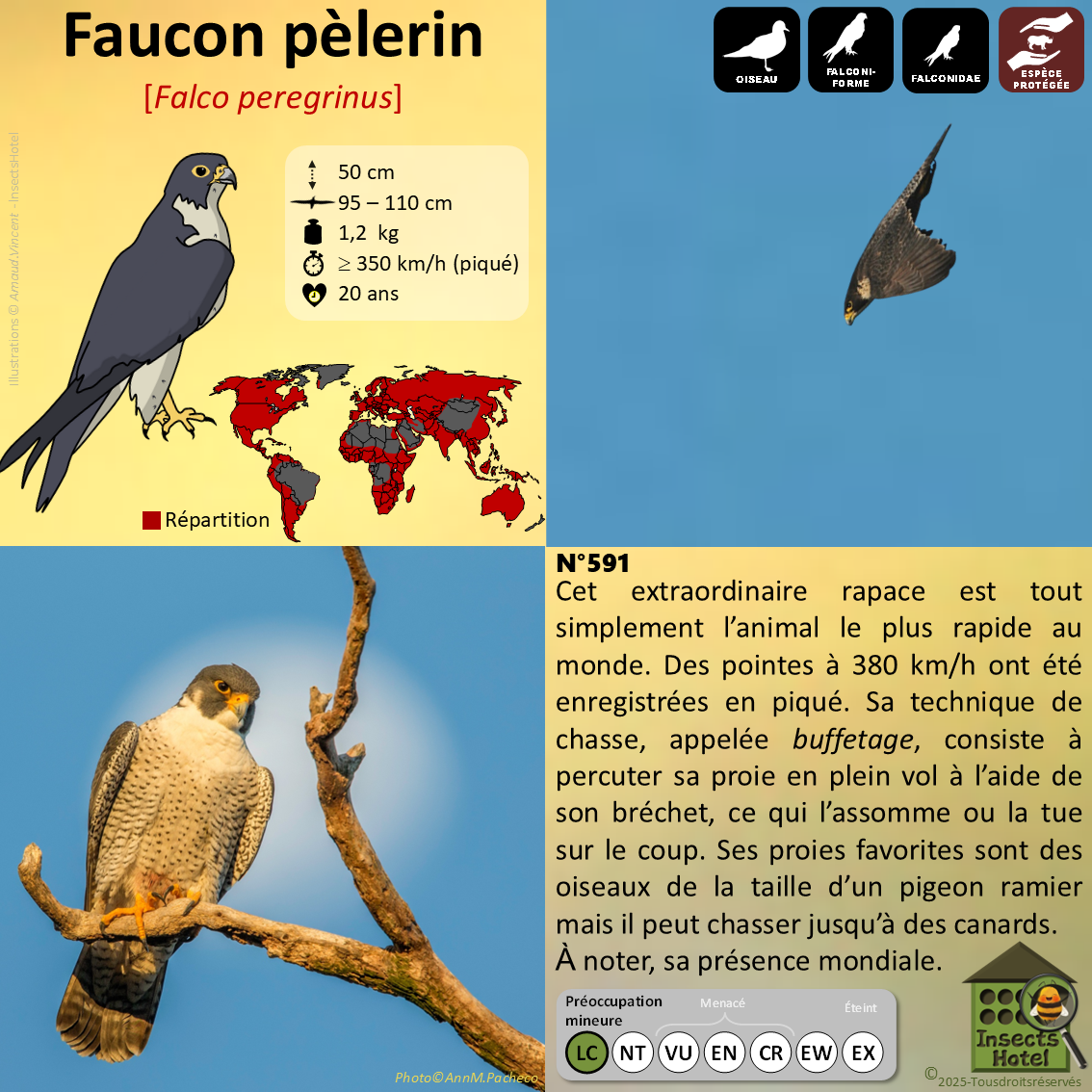 product_image_925356