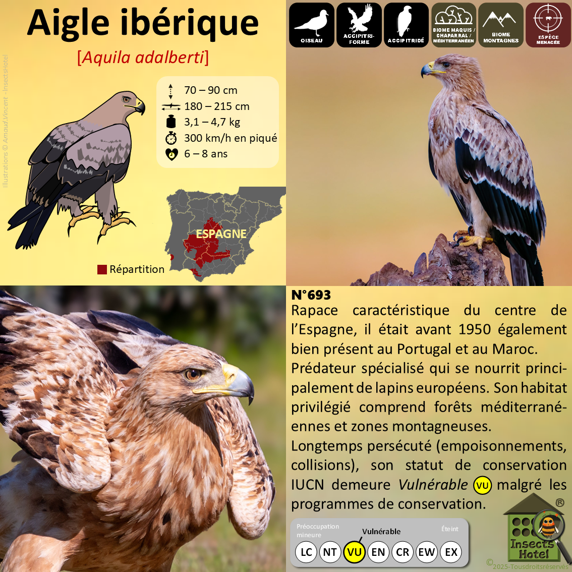 product_image_847831