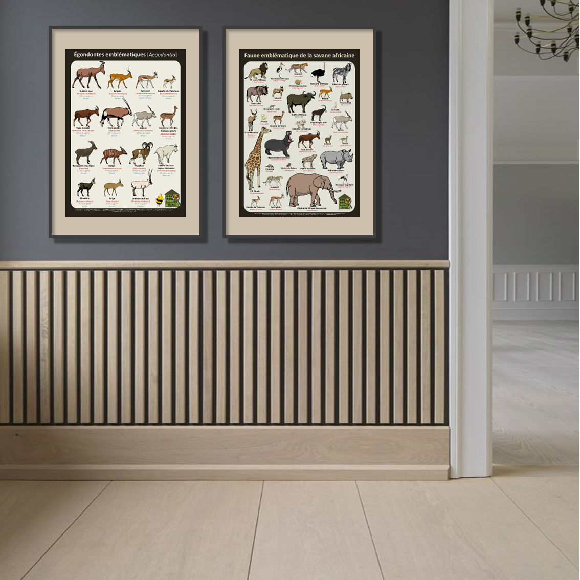 product_image_172987