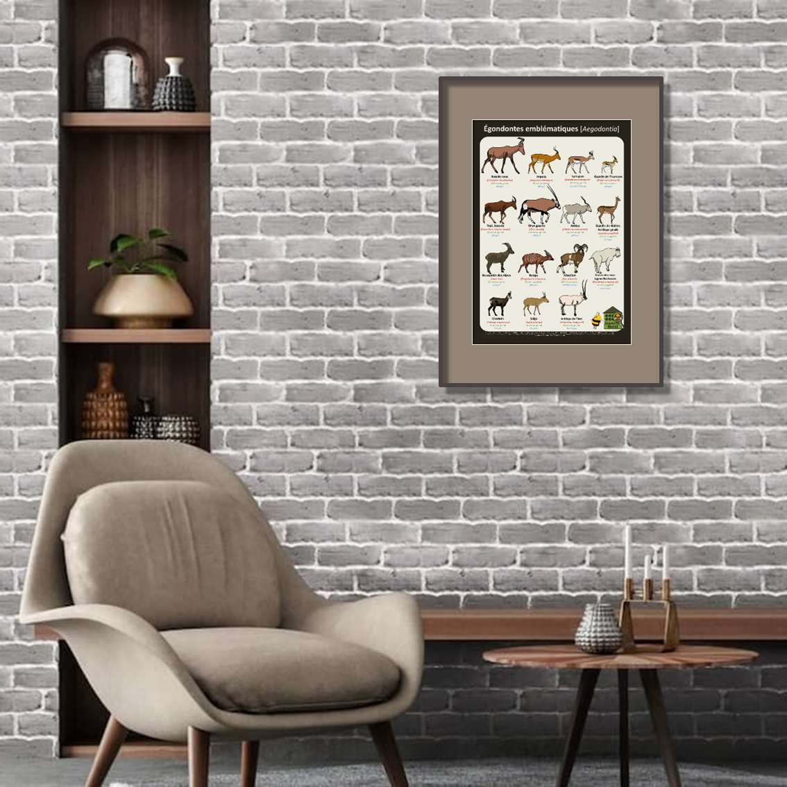 product_image_923323