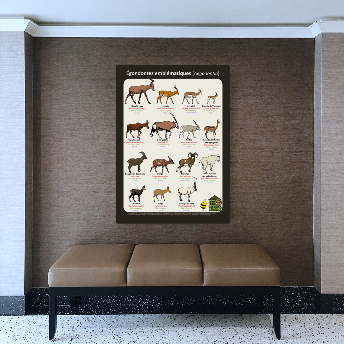 product_image_701035