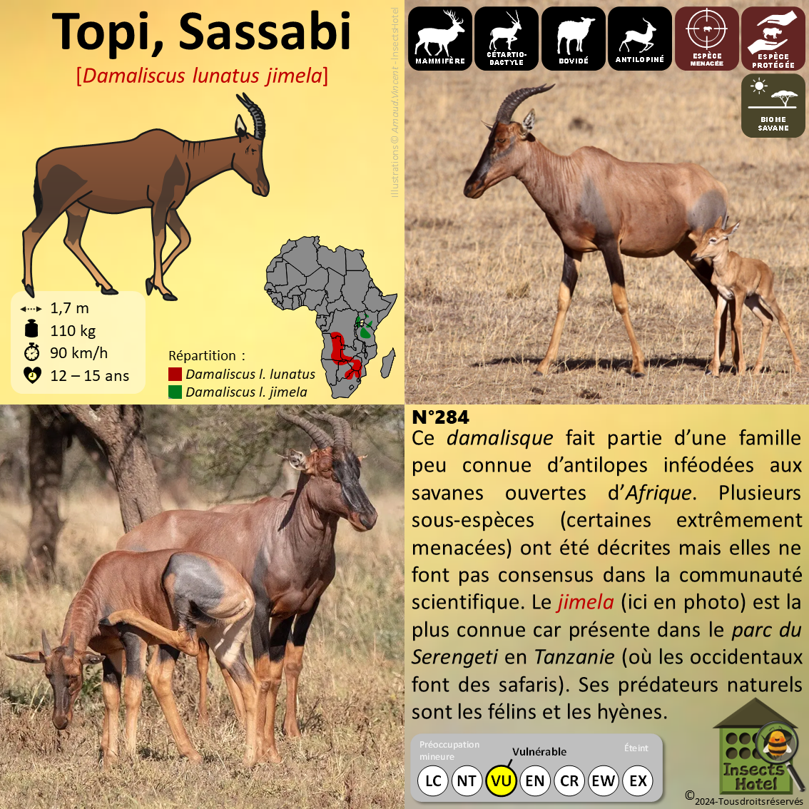 product_image_566190