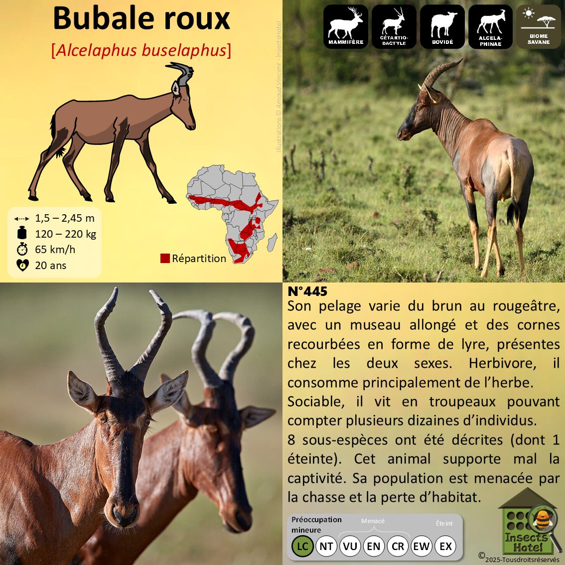 product_image_557778