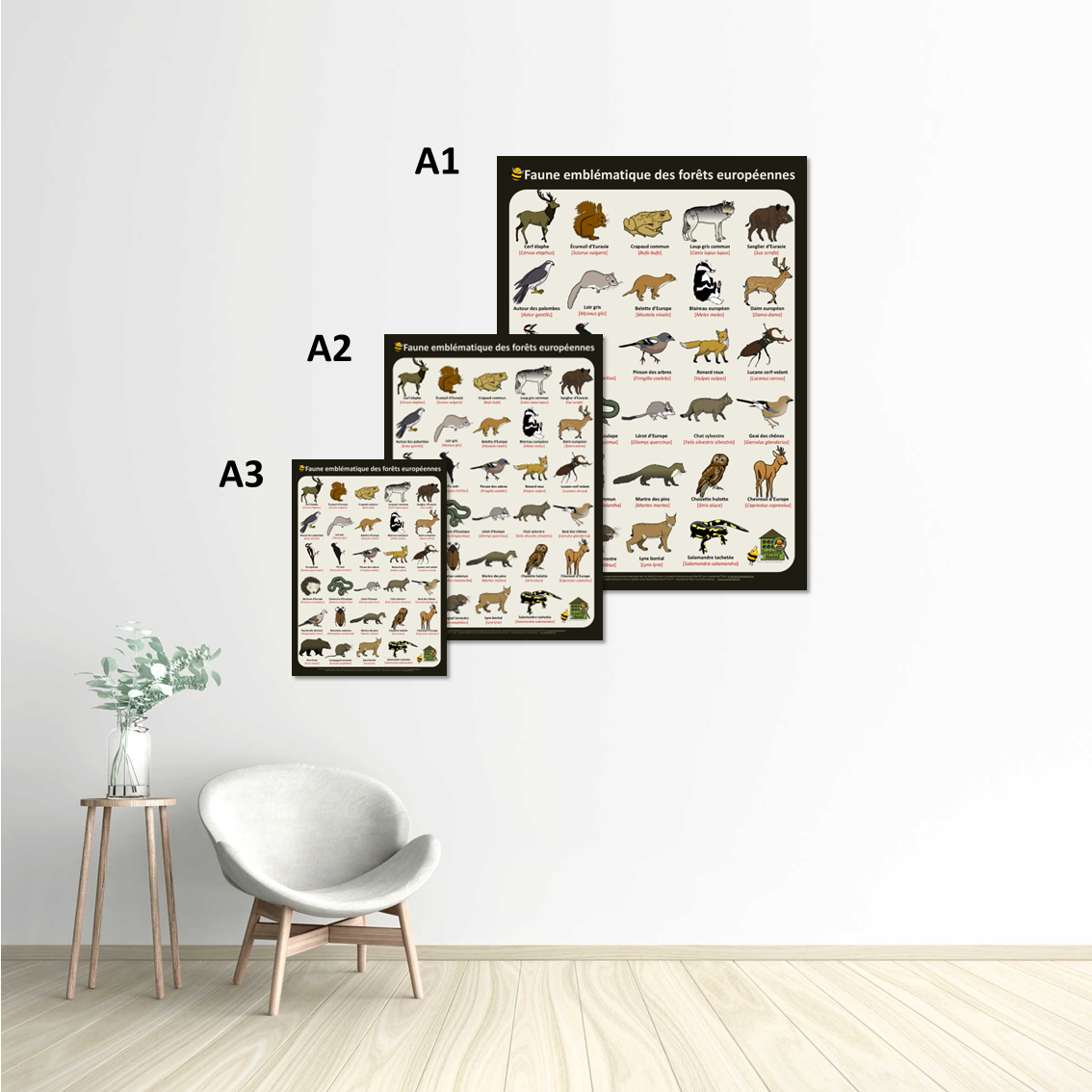 Image back Poster - Faune emblématique des forêts européennes