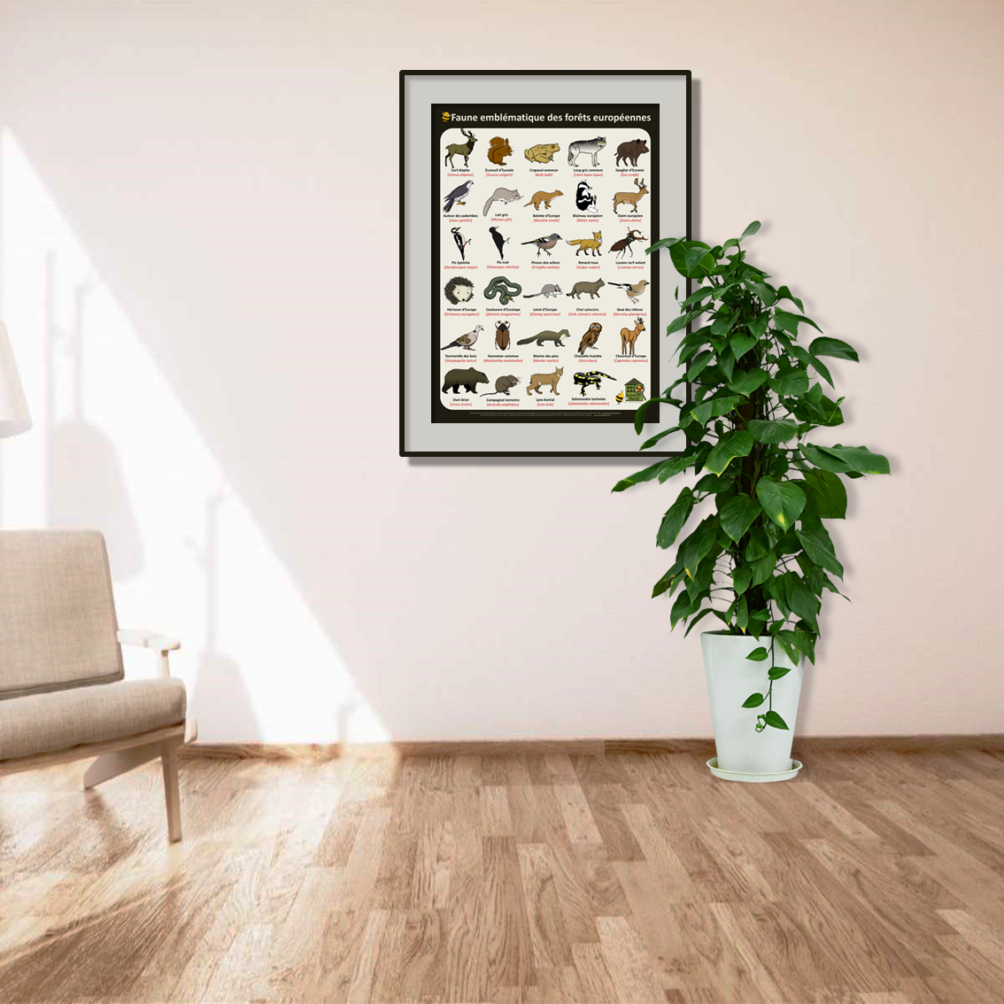 product_image_272291