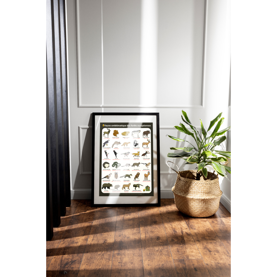 product_image_789041