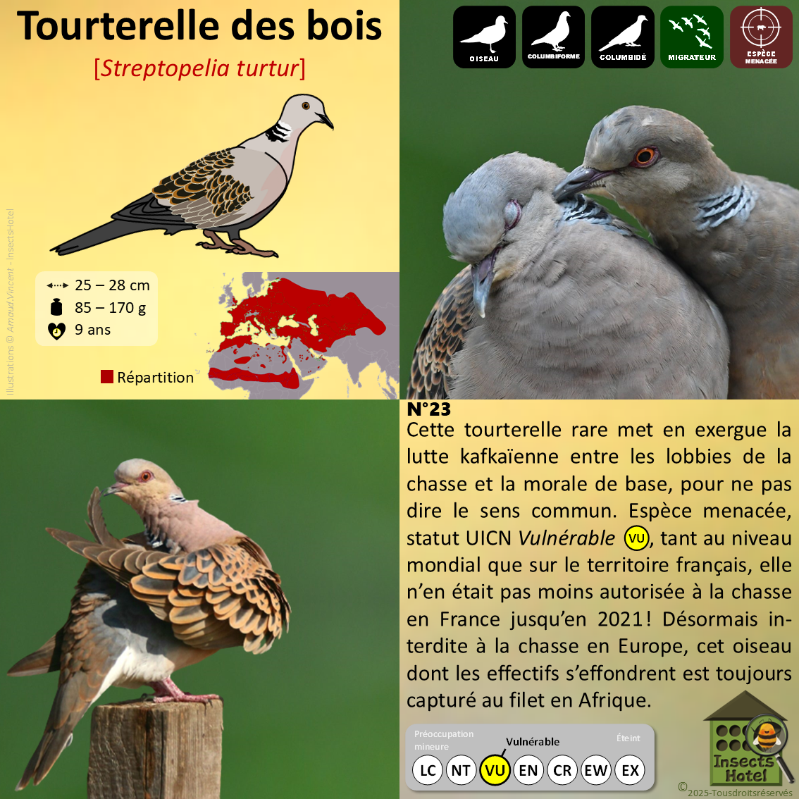 product_image_293815