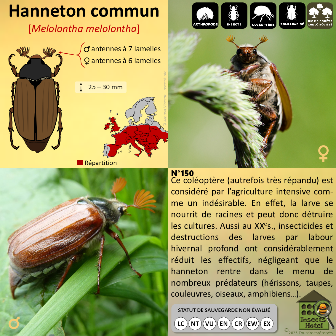 product_image_280344