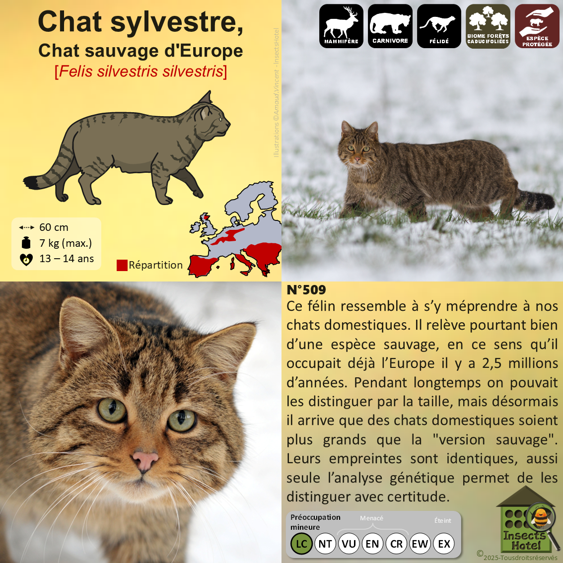 product_image_279869