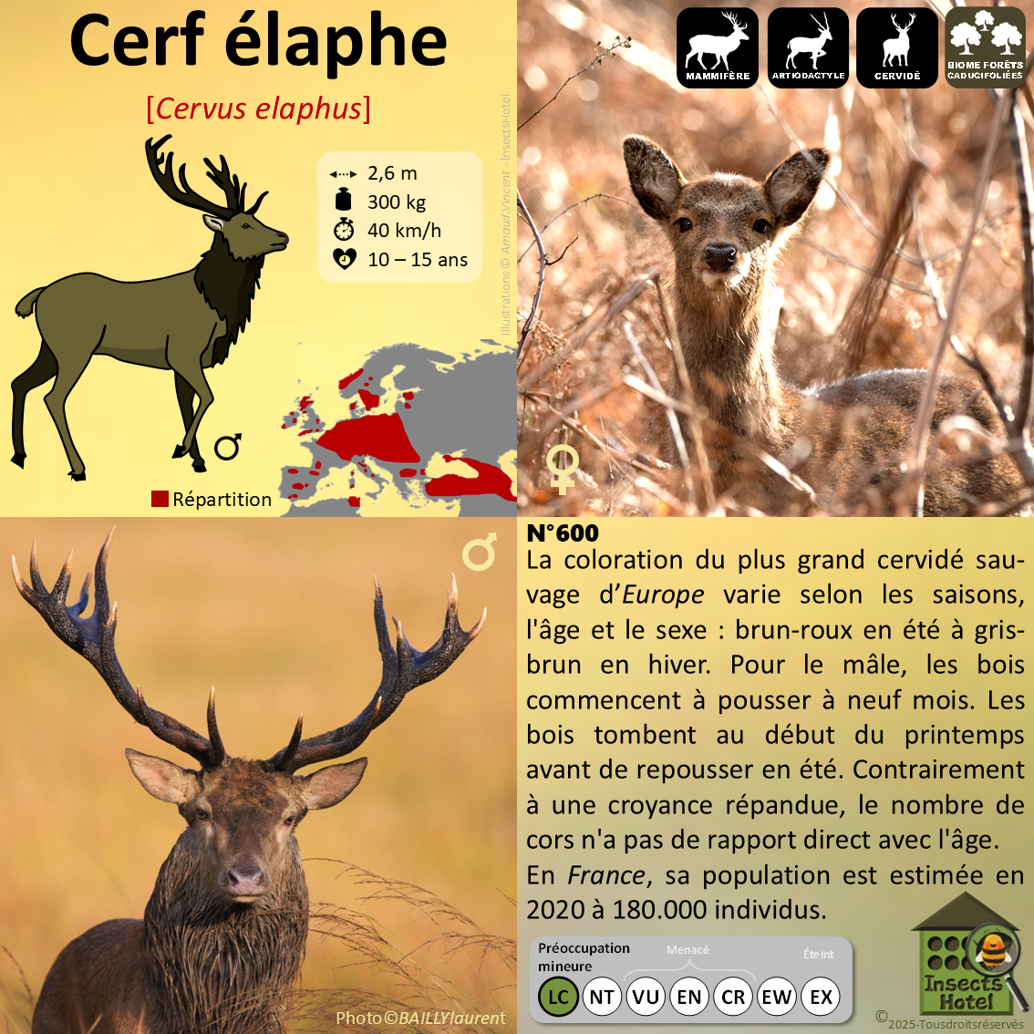 product_image_263132