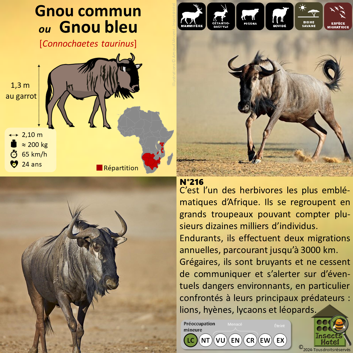 product_image_640125