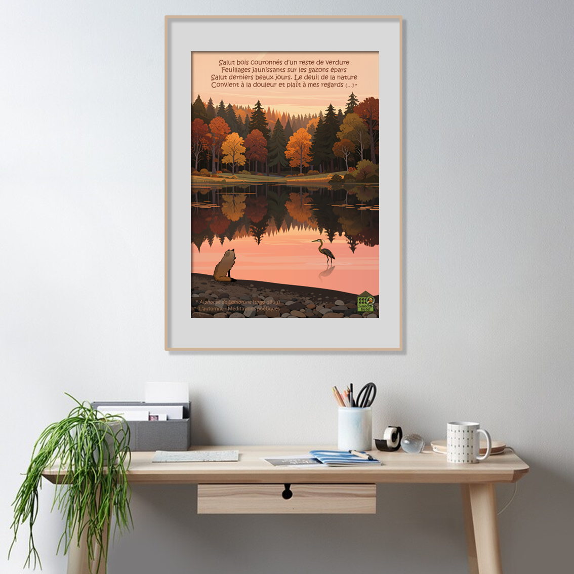 product_image_791996